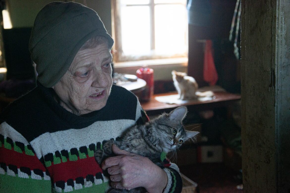 photo_2026-01-16_20-26-53 (3) “И будет у нас свой дом”: как мобильный ветеринарный пункт спасает животных в освобожденной Авдеевке