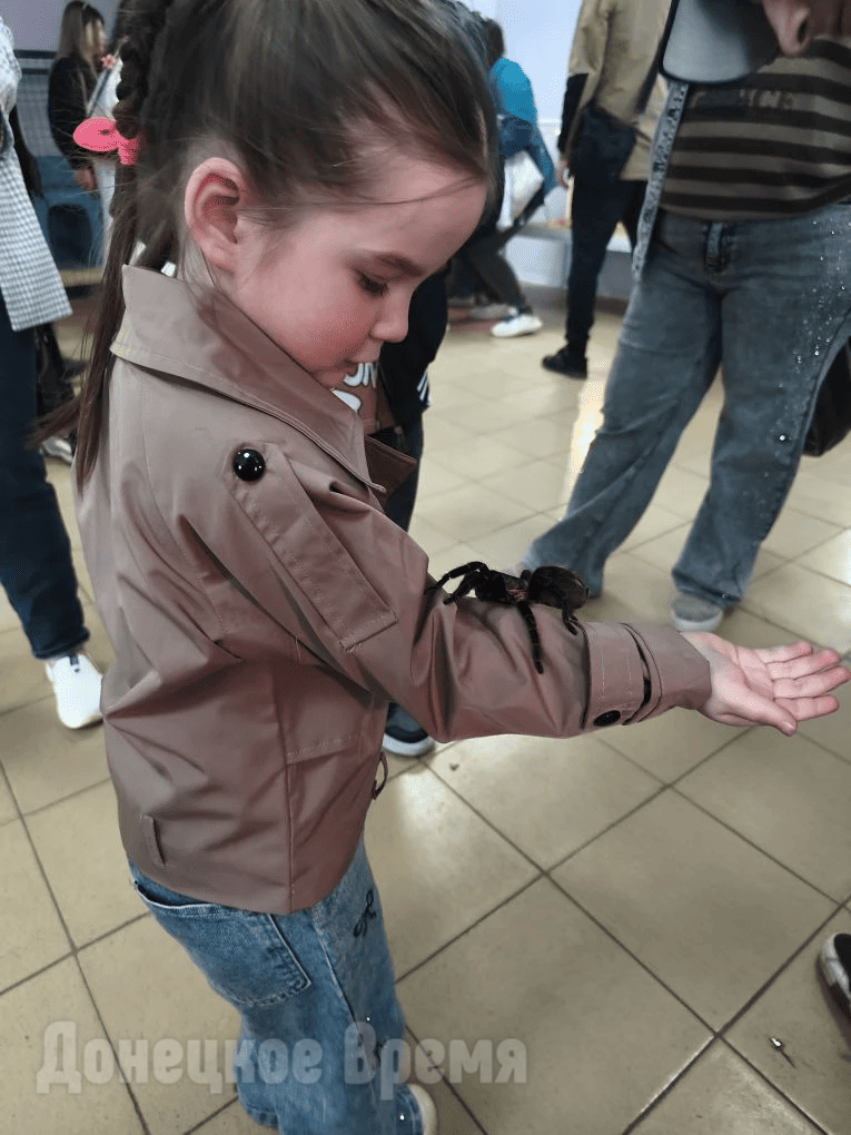 IMG_20260419_223134 Погладить дикобраза, подержать змею, пообщаться с кенгуру: в Горловку впервые приехала выставка экзотических животных