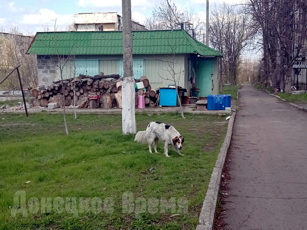 “Страшнее было в 2023 году, когда никого не выпускали”: жители Красногоровки обустраивают быт и верят в скорое восстановление