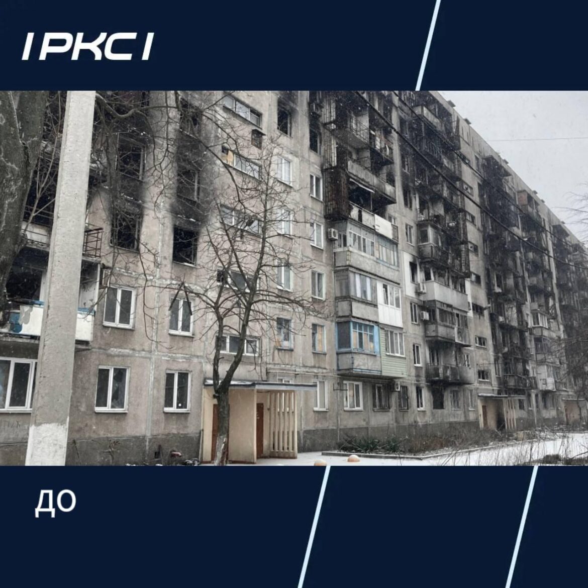 Пополнение в СЭЗ, создание народных костюмов, конкурс молодых исследователей: дайджест новостей за 29.04.2026