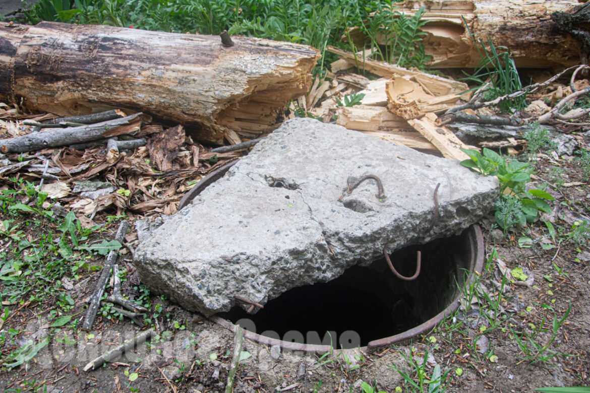 photo_2026-04-27_19-59-17 Пока само рухнуло: жильцы дома № 10 по улице Римского-Корсакова в Донецке почти три года добивались сноса дерева